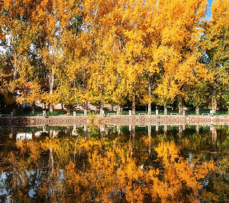 Voyage Ifrane